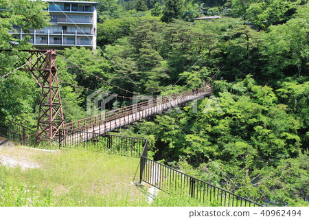 新鮮綠的鬼怒川溫泉(拓巳橋) 新鮮綠的鬼怒川溫泉(拓巳橋) 40962494