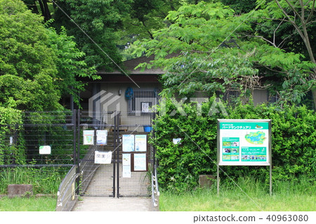 Bird Sanctuary 40963080