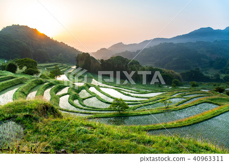 Chiba Oyama Senjita五月清晨 40963311
