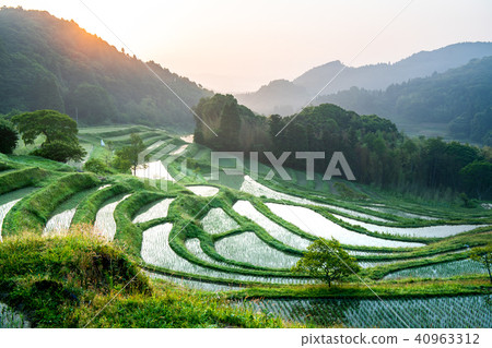 Chiba Oyama Senjita May early in the morning Chiba Oyama Senjita May early in the morning 40963312