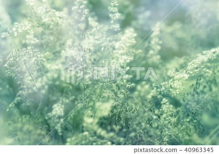 The depth of field little ironweed in vintage 40963345