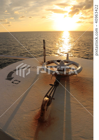 Sakura Way Daisukebo 40963422