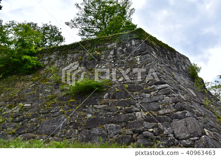 Continuing Japan 100 Great castle Saplings Castle Ruins Honmaru Ishigaki 40963463