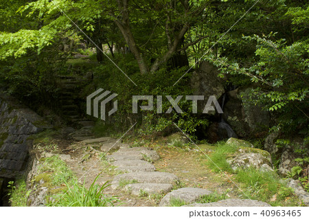 Continuing Japan 100 Meijo Saplings Castle Ruins 40963465