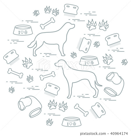 Cute vector illustration goods to care for dogs 40964174