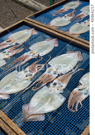 Dried squid 40964257