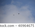A bird flying over the sky 40964675