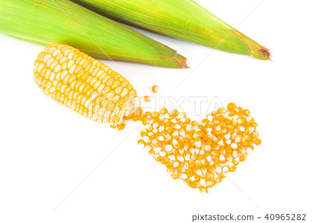 Fresh Corncobs or corn ears isolated on white 40965282