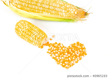 Fresh Corncobs or corn ears isolated on white 40965283