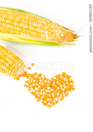 Fresh Corncobs or corn ears isolated on white 40965284