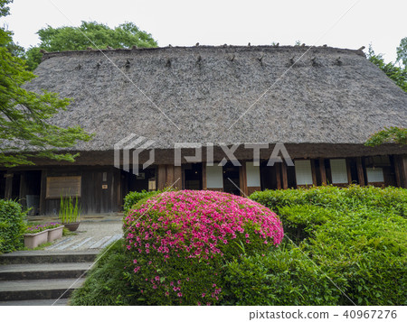 名古屋市風景·東山植物園 名古屋市風景·東山植物園 40967276