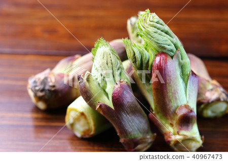 Spring wild plant Spring wild plant 40967473