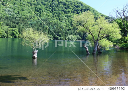 Hokuryu湖的初夏 Hokuryu湖的初夏 40967692