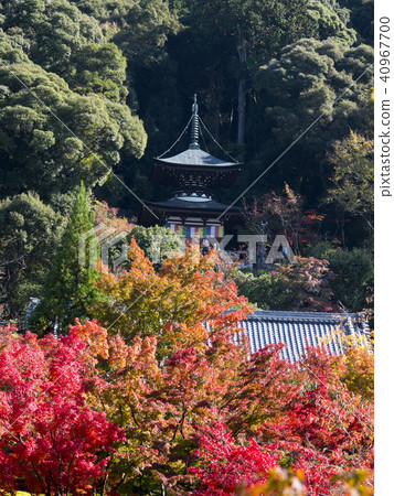 Kyoto · Eiken no Eikendo 40967700