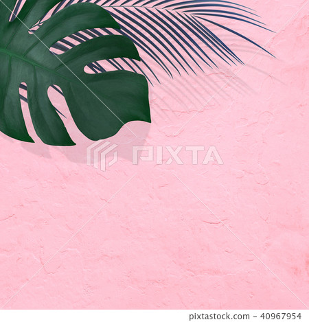 Background - Plants - Pink Background - Plants - Pink 40967954