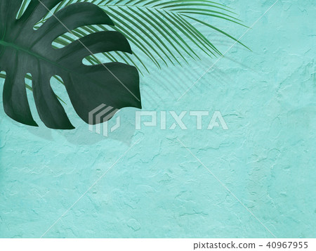 Background - Plants - Blue 40967955