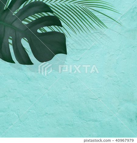 Background - Plants - Blue Background - Plants - Blue 40967979