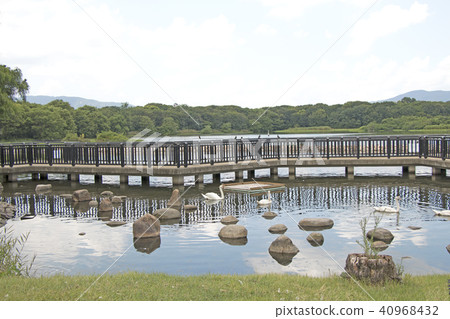 Koyoi Park Koyoi Park 40968432