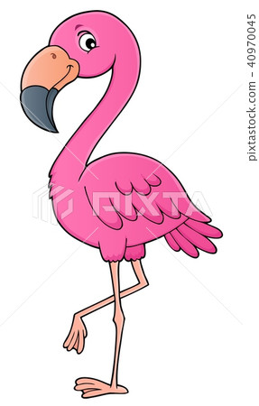 Flamingo topic image 1 40970045