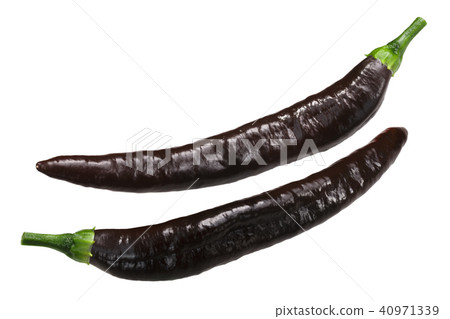 Pasilla Chilaca chile peppers Pasilla Chilaca chile peppers 40971339