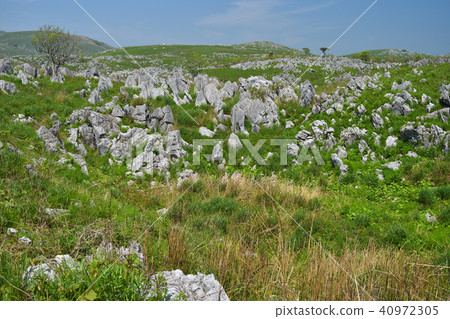 Akiyoshidai Limestone and Drine 40972305