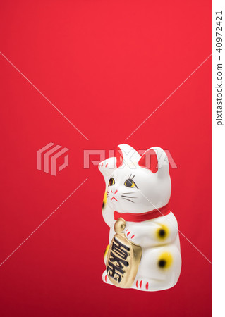 Lucky Cat Lucky Cat 40972421