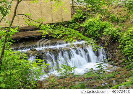 Kibune Shin Green River Floor 40972468