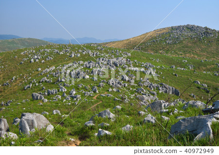 Akiyoshidai Konoyama 40972949