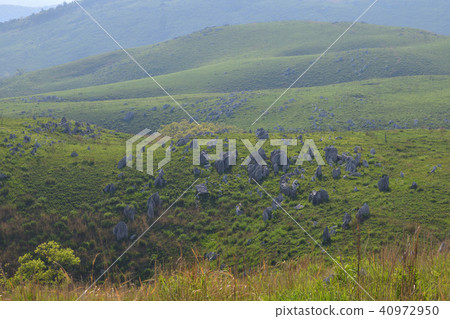 秋吉台新鮮綠色 40972950