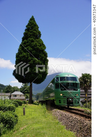 Yufu mountain x couple cedar x express "Yufuin no Mori" 40973347
