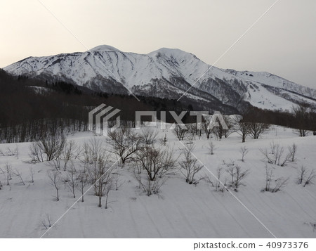 在溫泉度假區最受歡迎的Dantotsu的櫻桃溫泉，被稱為日本的日本很難預訂。 40973376