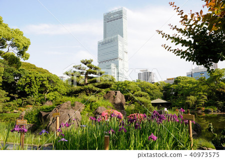 Keigozono的風景 Keigozono的風景 40973575