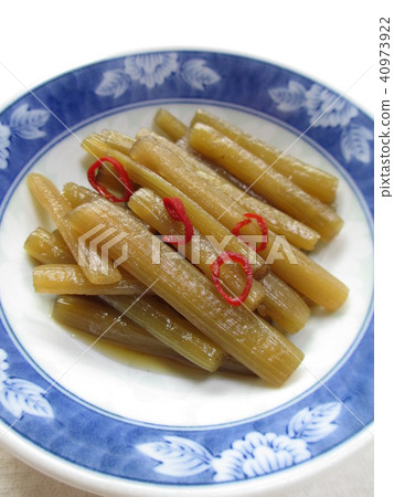 辛辣的雞肉燉菜 40973922