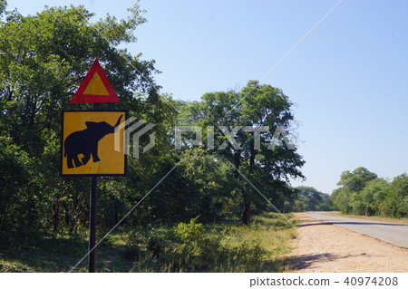 Signs of attention to elephants 40974208