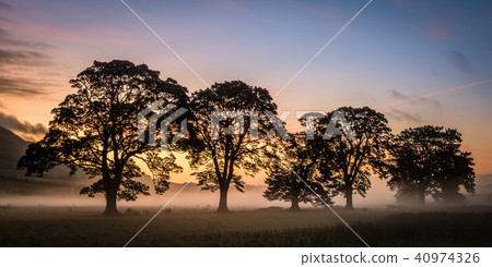 Misty Fields Misty Fields 40974326
