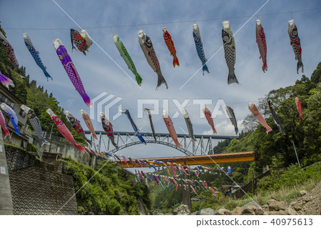 Carp streamer Carp streamer 40975613