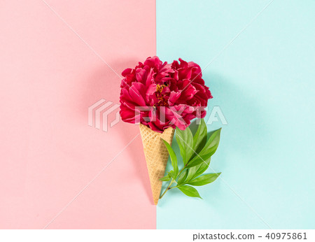 Red peony flower ice cream waffle cone Floral flat 40975861