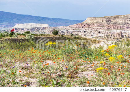 mountain landscape and flowering meadow in spring 40976347