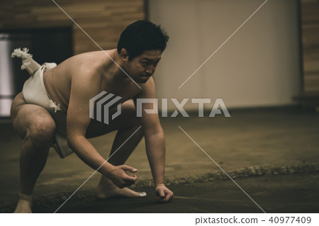 sumo, sumo wrestling, training 40977409