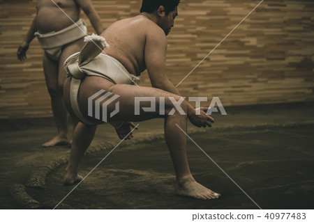 sumo, sumo wrestling, training 40977483