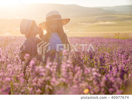 Brother and sister in lavender field Brother and sister in lavender field 40977674