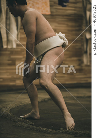 sumo, sumo wrestling, training 40978525