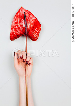 Red manicure with flower. 40978845