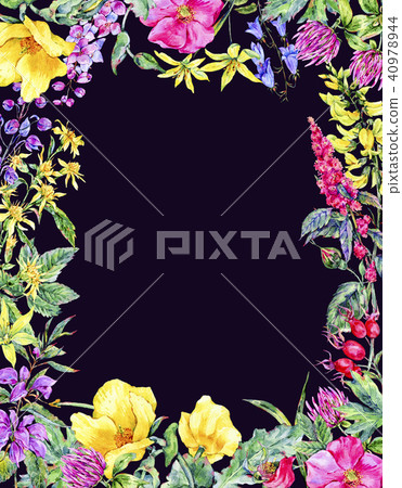 Watercolor summer medicinal floral vertical frame, Wildflowers plant 40978944