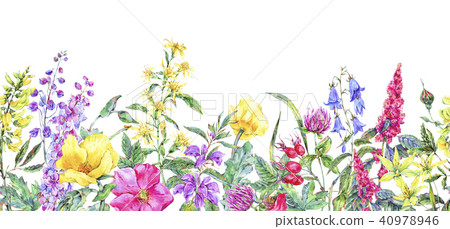Watercolor summer medicinal floral seamless border, Wild flowers plant 40978946
