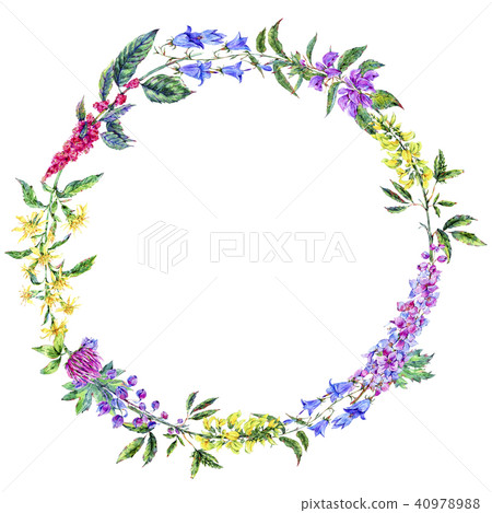 Watercolor summer medicinal floral wreath, Wildflowers plant Watercolor summer medicinal floral wreath, Wildflowers plant 40978988
