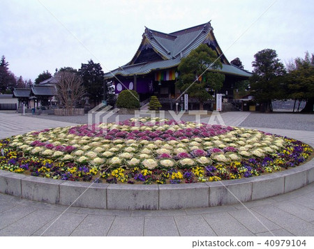 Naritasan Shinshoji Temple in spring 40979104