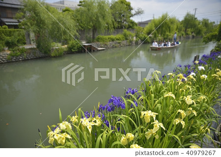 柳川市風景下坡河虹膜 柳川市風景下坡河虹膜 40979267