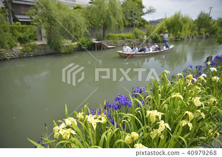柳川市風景下坡河虹膜 柳川市風景下坡河虹膜 40979268