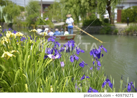 柳川市風景下坡河虹膜 柳川市風景下坡河虹膜 40979271